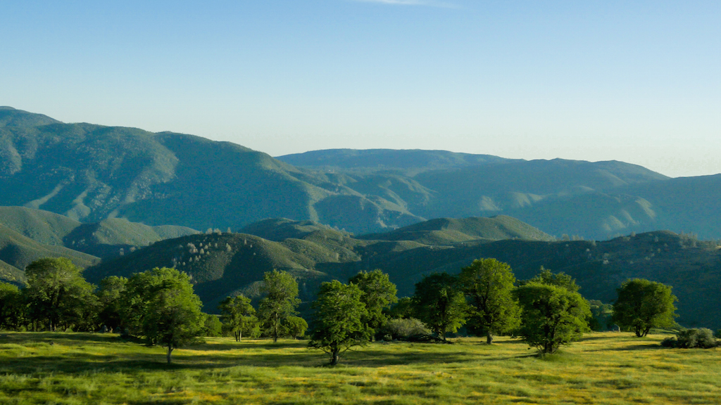 Northern California Cattle Ranches for Sale Cow Land
