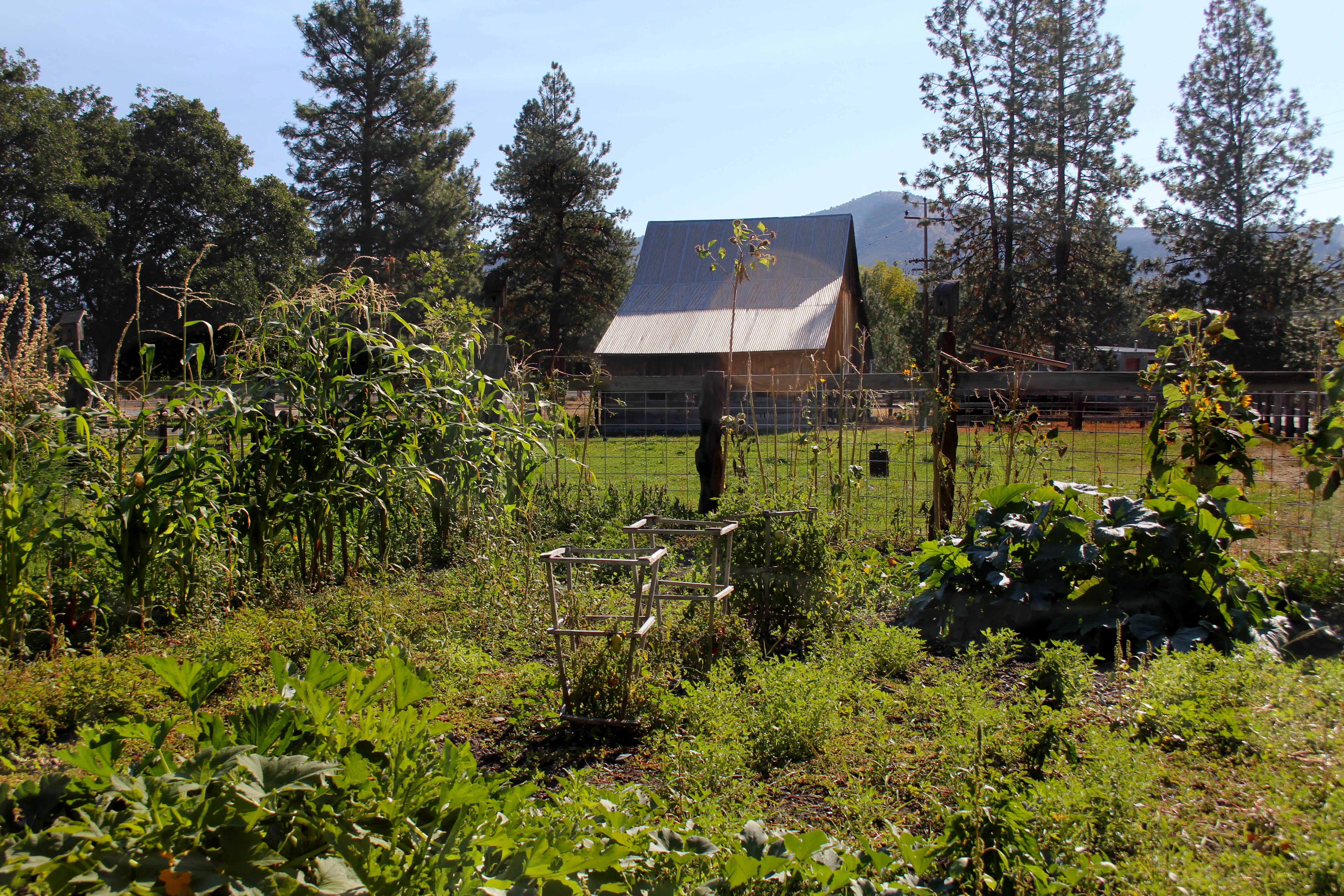 Spring Meadow Farm California Outdoor Properties
