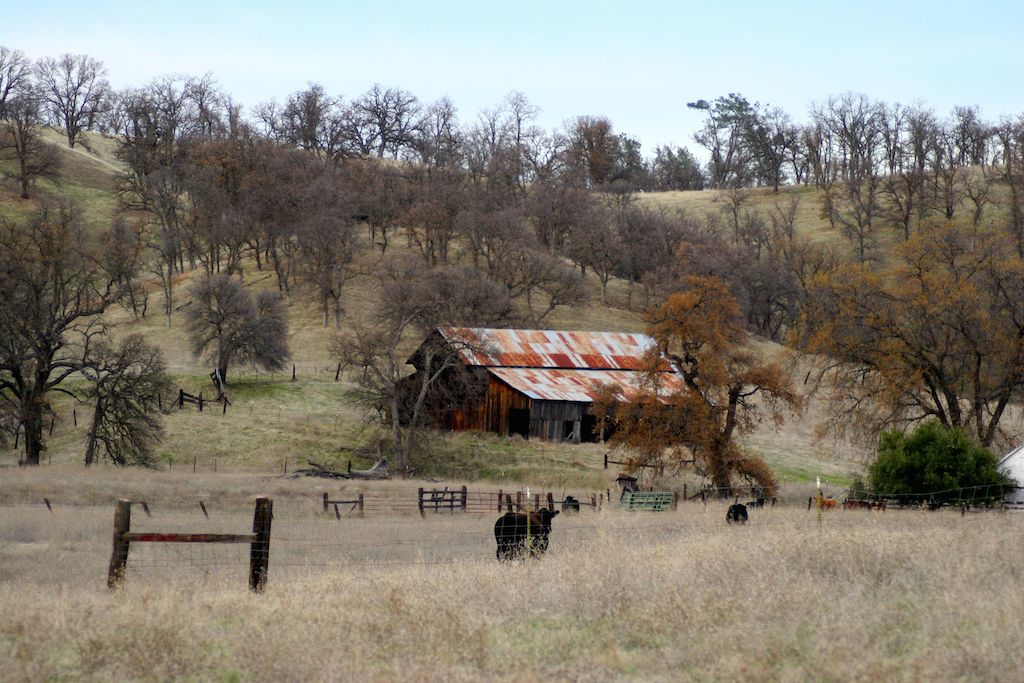 Elder Creek Ranch California Outdoor Properties