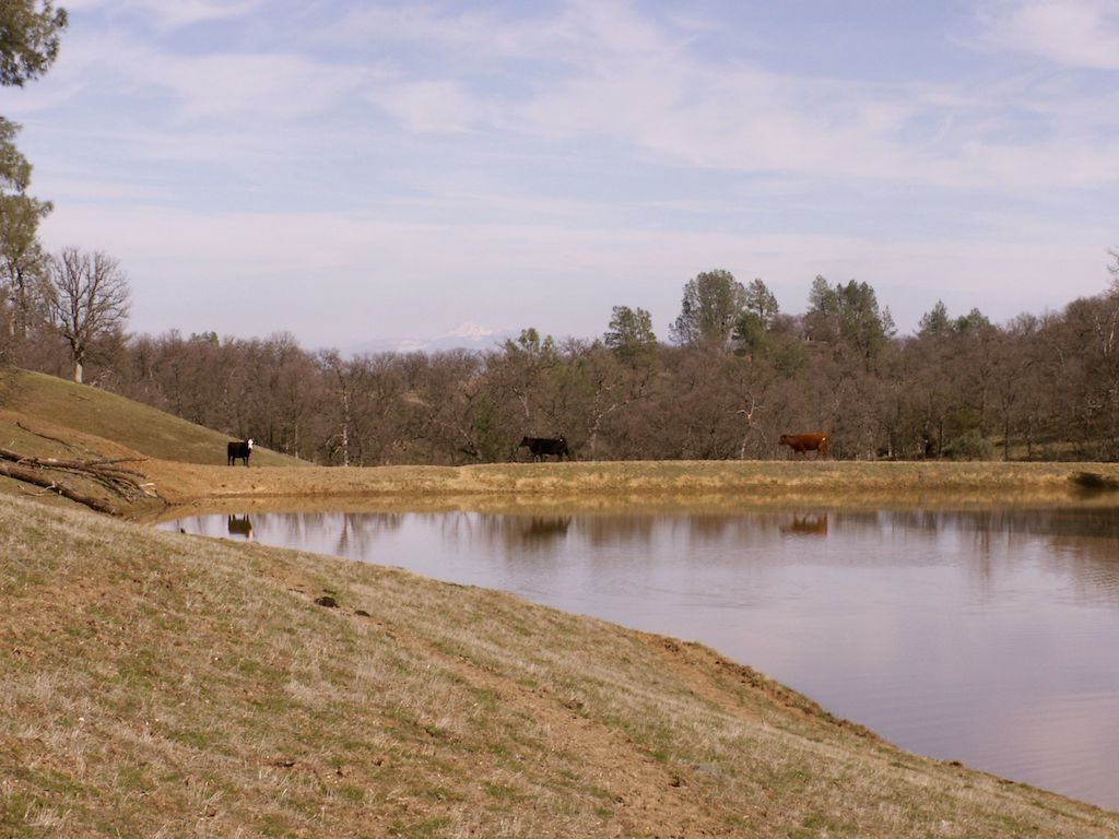 Elder Creek Ranch California Outdoor Properties