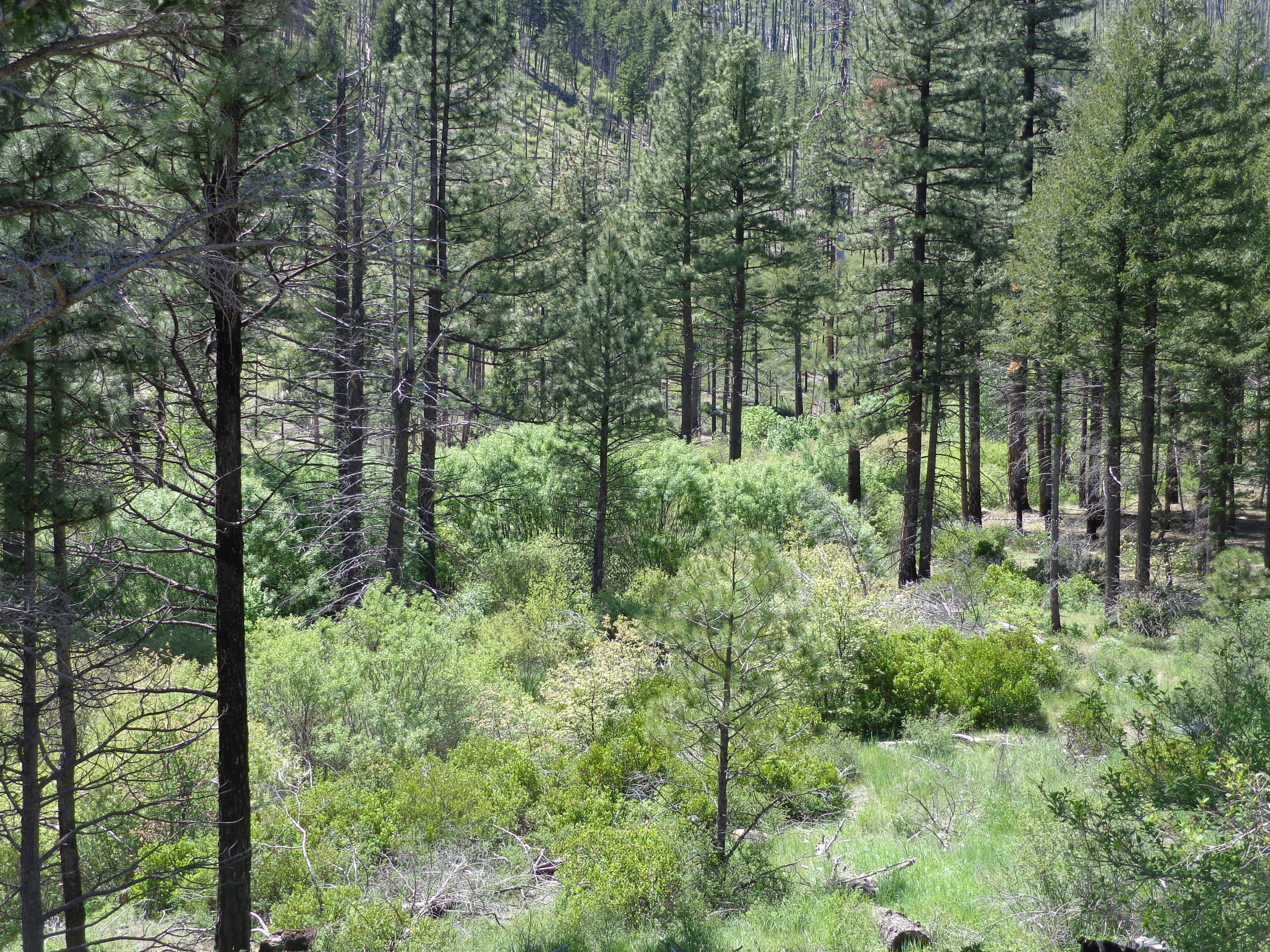 Meadow Valley California Outdoor Properties