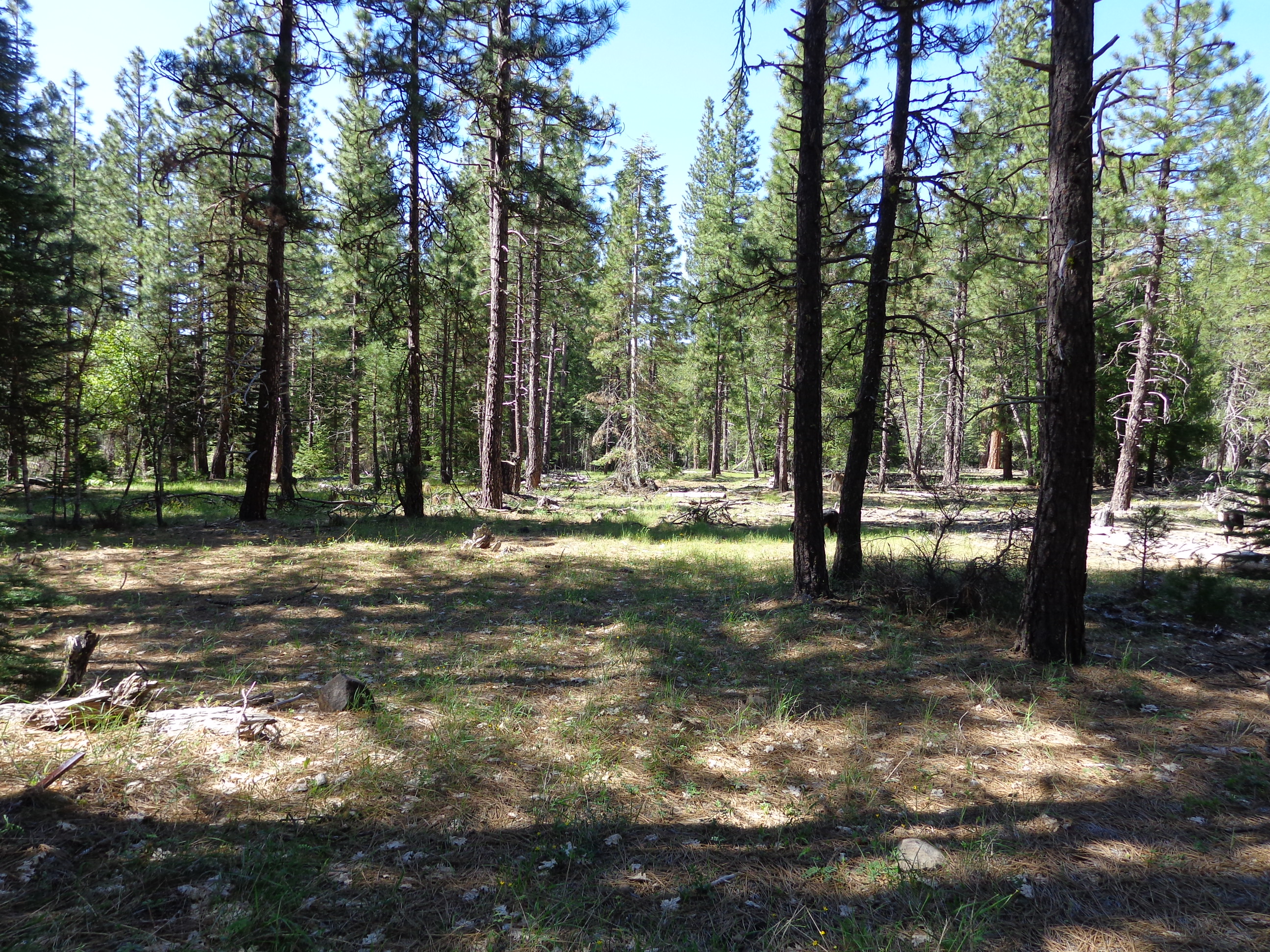 Meadow Valley California Outdoor Properties