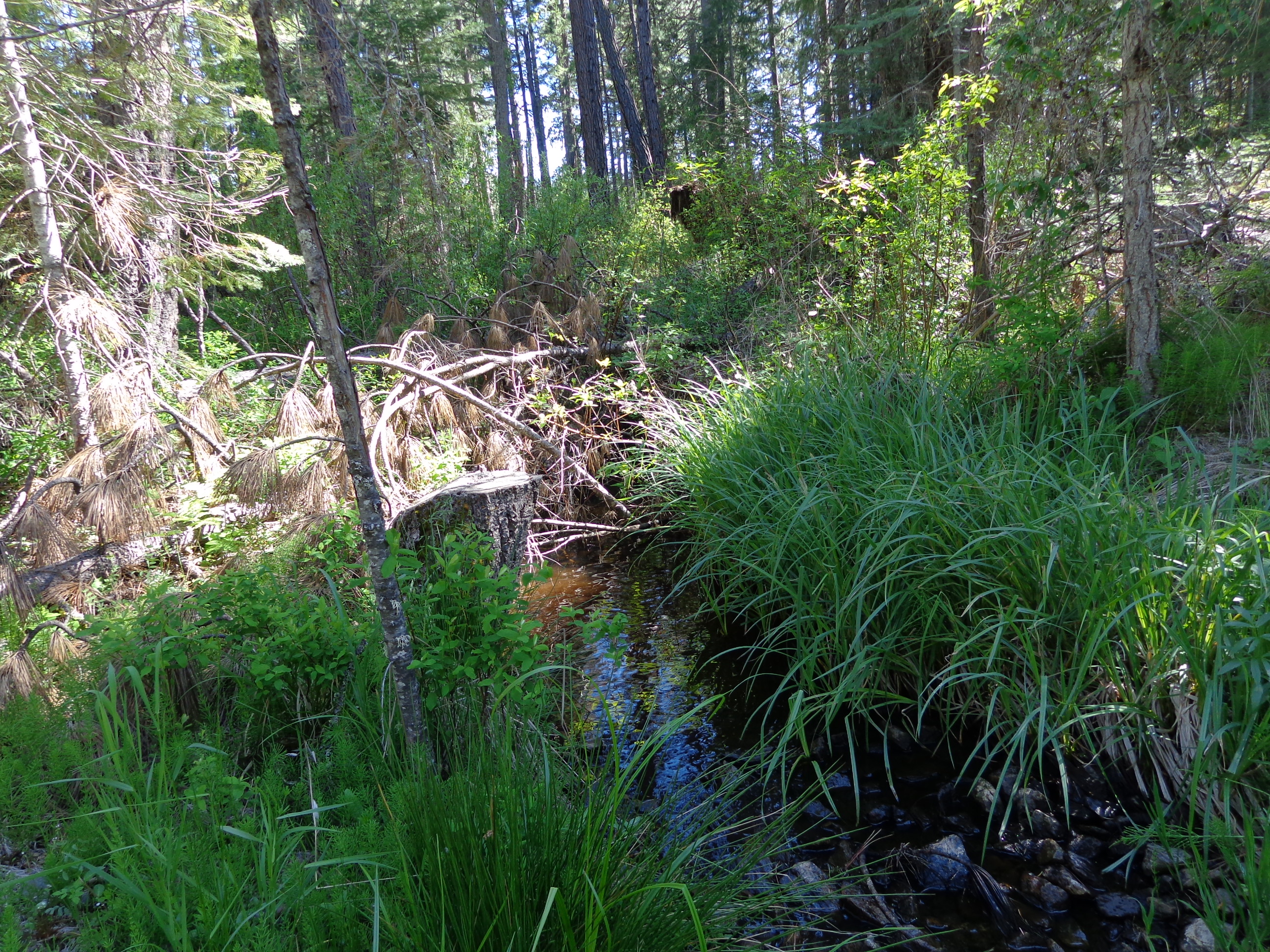 Meadow Valley California Outdoor Properties