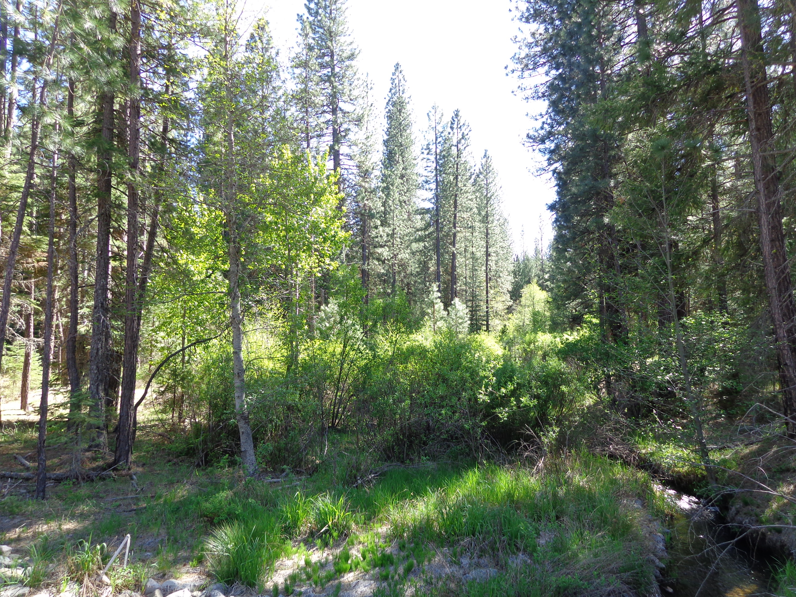 Meadow Valley California Outdoor Properties