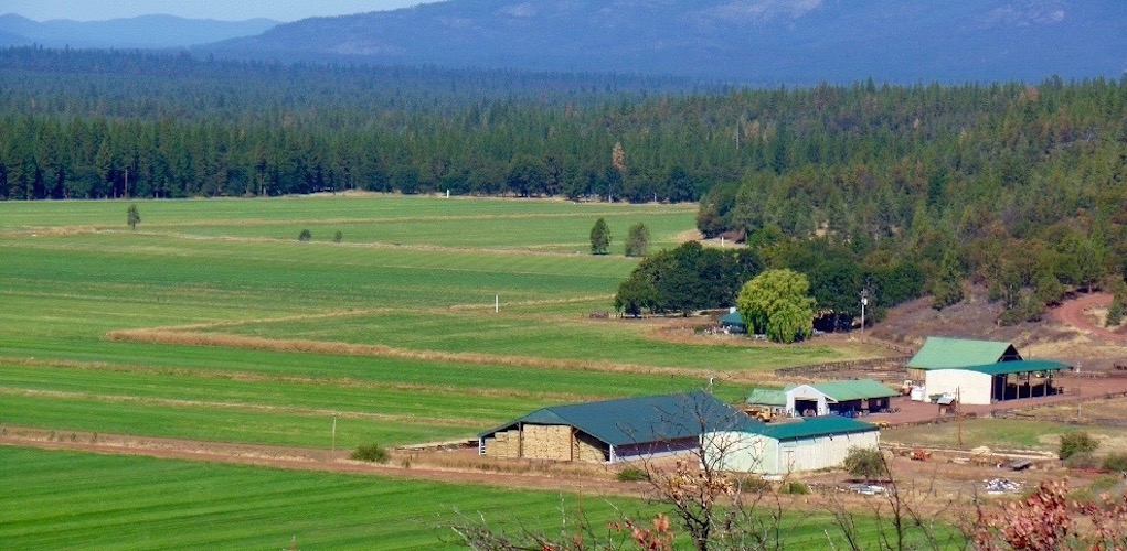Winter Falls Ranch