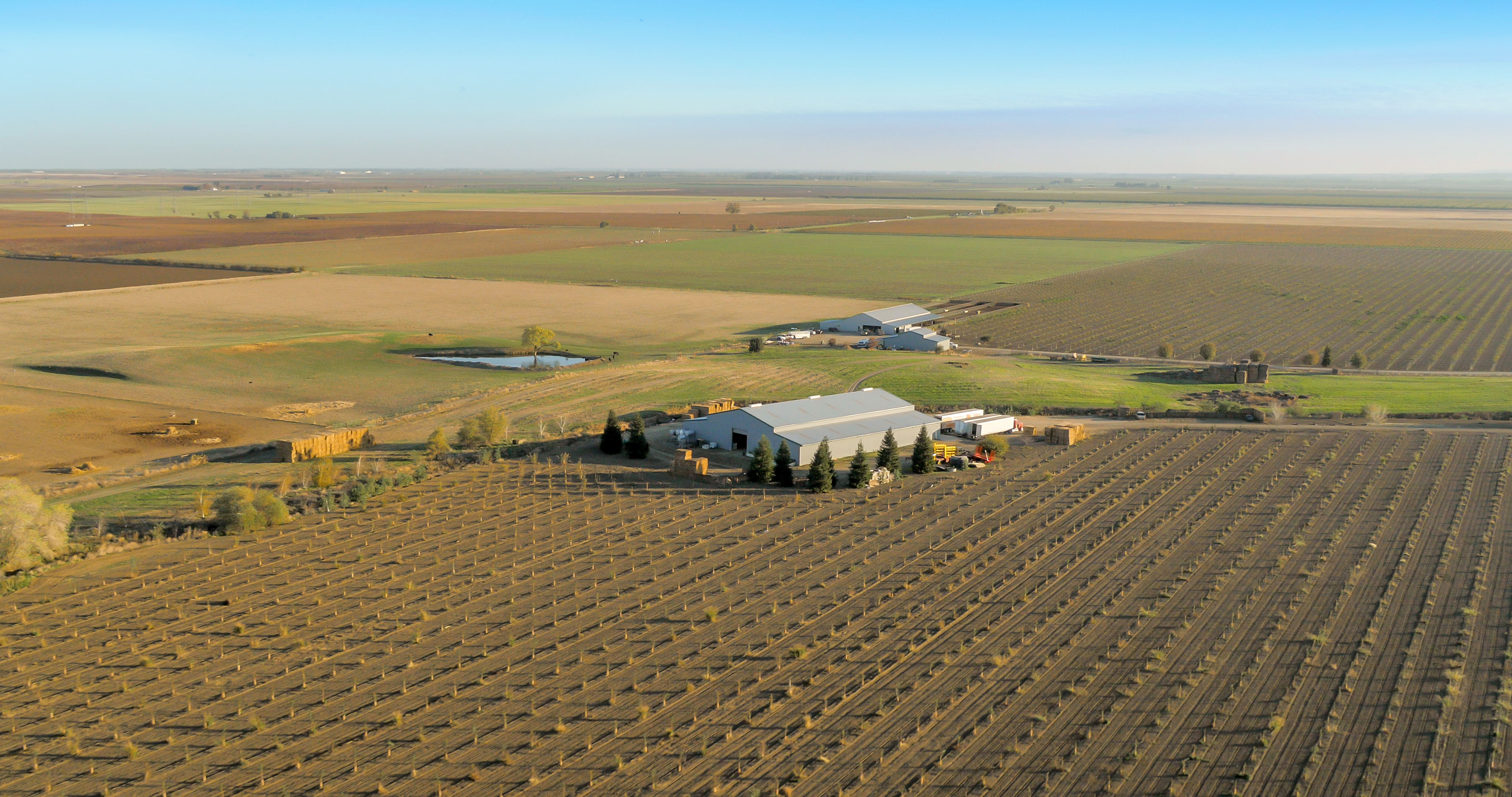 A Buyer's Guide to Navigating the Rural Land for Sale Mark