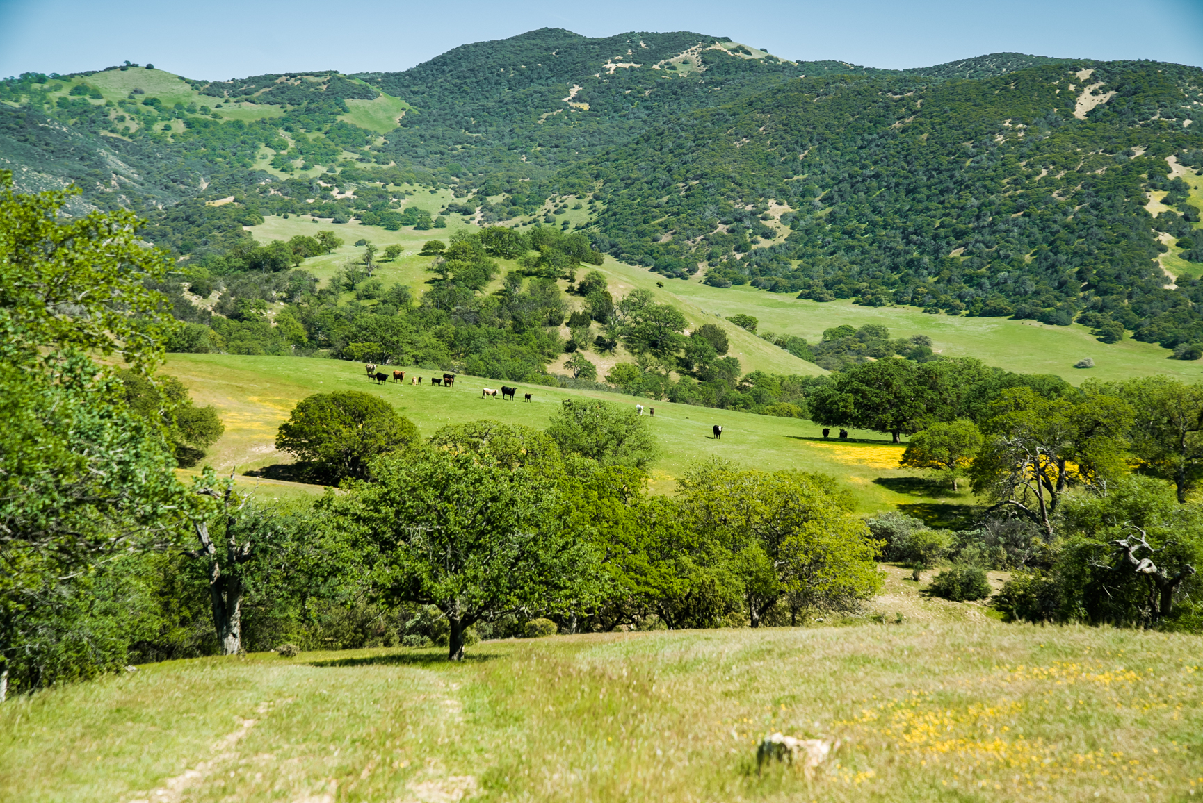 California Hunting Land & Property For Sale CA