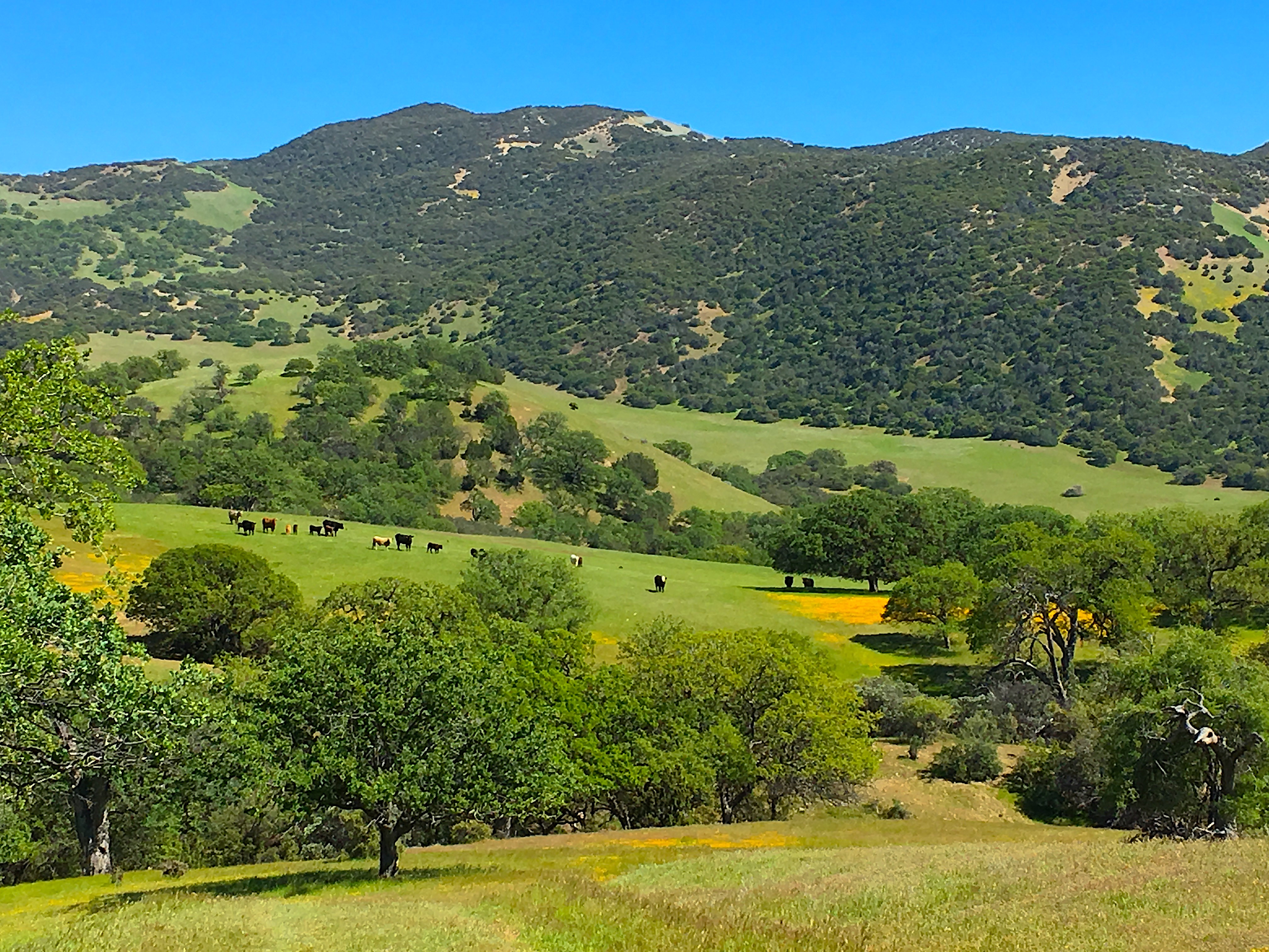California Outdoor Properties - zg9rxvk