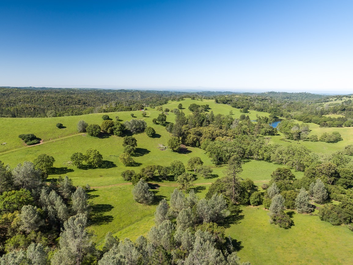 Northern California Ranches for Sale NorCal Ranchers Property