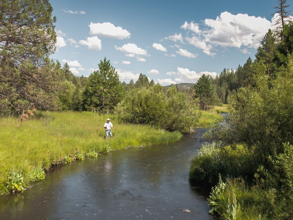 Northern California Ranches for Sale NorCal Ranchers Property