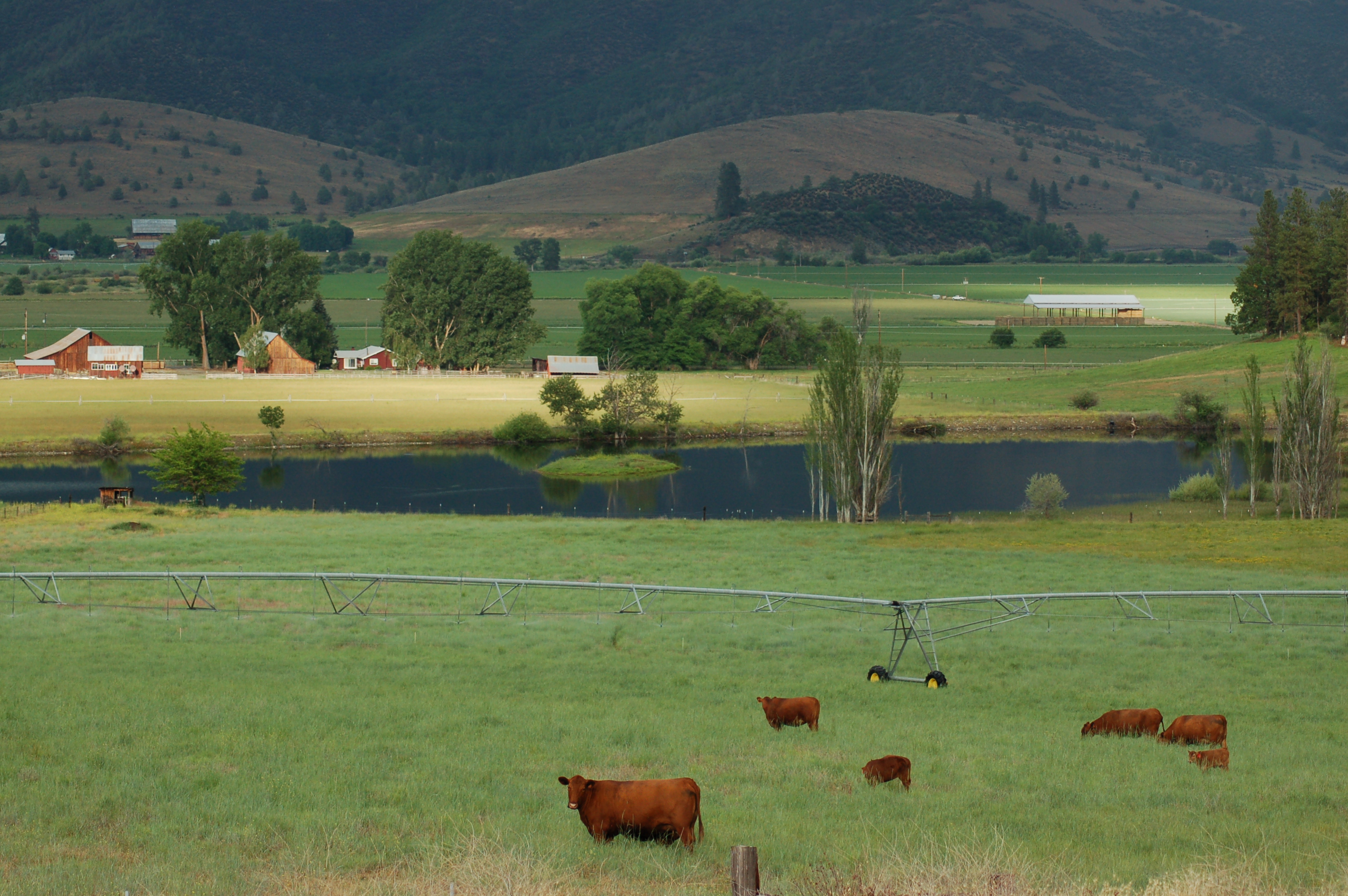 Rough And Ready Cattle Co California Outdoor Properties Rough And Ready Cattle Co Etna California