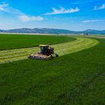 Photo 10 for The New PBM Farms