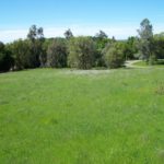 Photo 1 for 5 Acres Near Placerville