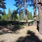 Photo 10 for Calpine Homesite Acreage