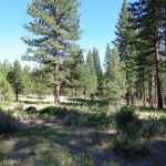 Photo 2 for Calpine Homesite Acreage