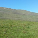 Photo 5 for Bayview Ridge Ranch
