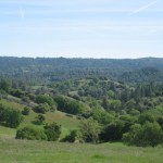 Photo 17 for PENOBSCOT RANCH WEST