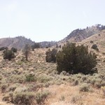 Photo 4 for Adam's Peak Ranch