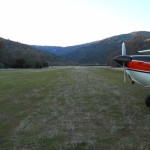 Photo 2 for Quail & Airplanes
