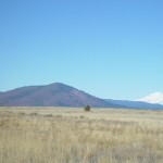 Photo 16 for Hasbrouck Ranch