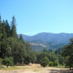 Photo 13 for Manzanita Ranch