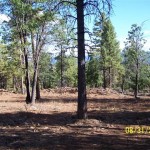 Photo 1 for Susanville Ranch Tract