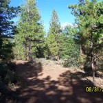 Photo 12 for Susanville Ranch Tract