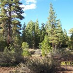 Photo 13 for Susanville Ranch Tract