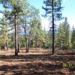 Photo 15 for Susanville Ranch Tract