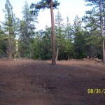 Photo 5 for Susanville Ranch Tract