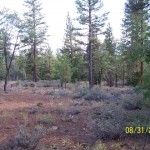 Photo 6 for Susanville Ranch Tract