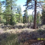 Photo 8 for Susanville Ranch Tract