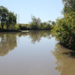 Photo 9 for Mallard Pacific Duck Club