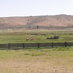 Photo 22 for Cross My Heart Ranch