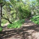 Photo 9 for Sacramento River Bend