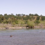 Photo 21 for Sacramento River Bend