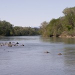 Photo 25 for Sacramento River Bend