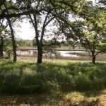 Photo 4 for Sacramento River Bend