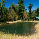 Photo 16 for Twin Creeks Estate
