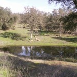 Photo 17 for Dry Creek