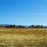 Photo 7 for Shasta Lassen View