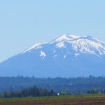 Photo 10 for Shasta Lassen View