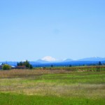 Photo 1 for Shasta Lassen View