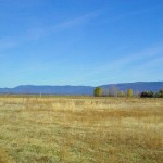 Photo 6 for Shasta Lassen View