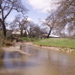 Photo 14 for Dibble Creek Ranch
