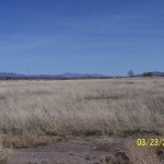 Photo 1 for Sierra Road Industrial Park - 8.1 acres
