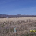 Photo 3 for Sierra Road Industrial Park - 8.1 acres