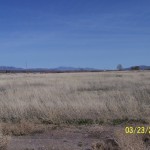 Photo 3 for Sierra Road Industrial Park - 4.86 acres