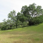 Photo 9 for Monticello Dam Ranch