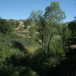 Photo 2 for Dry Creek II